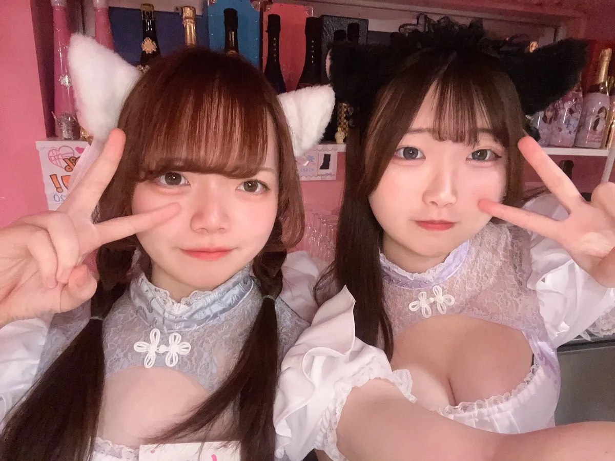 桃猫堂秋葉原店🐾コンカフェ最大手✴️@momonekodou002