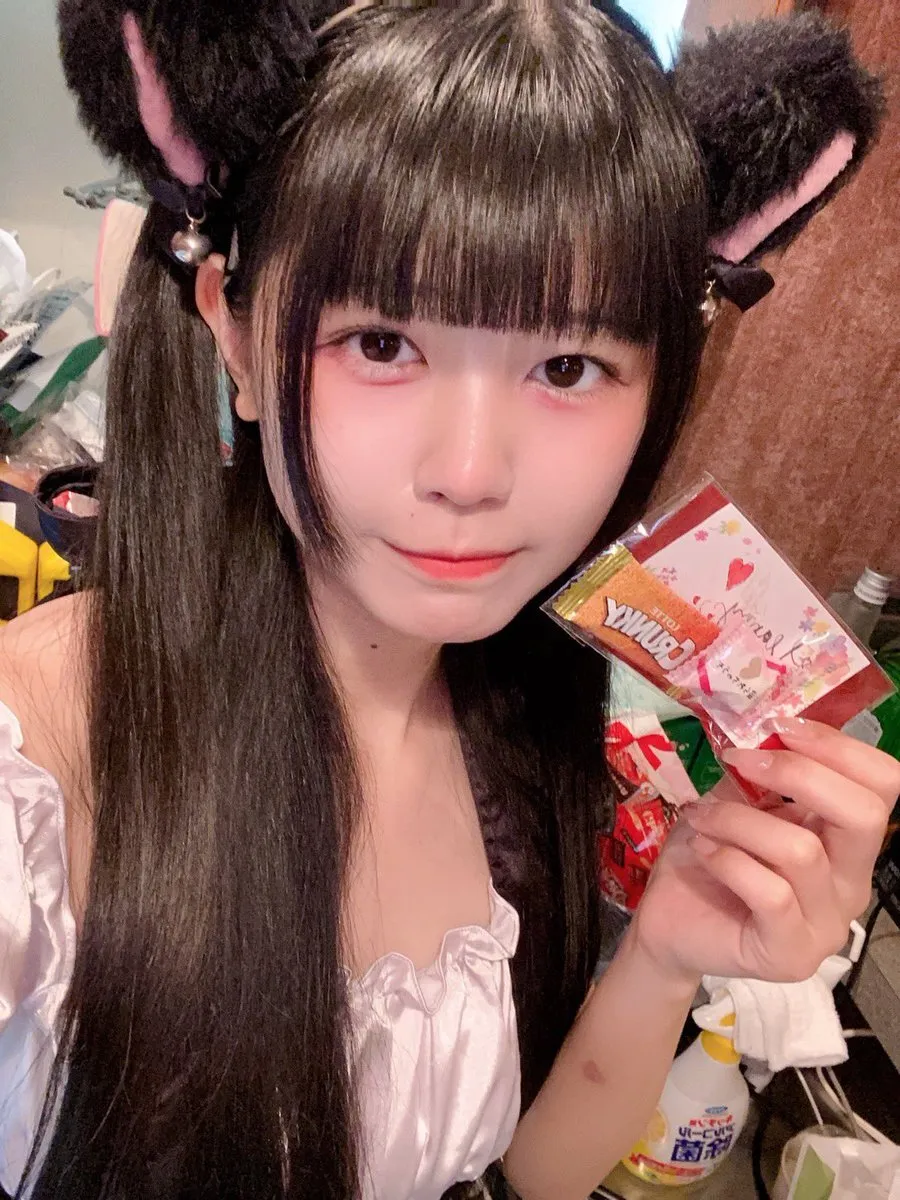 チャイニャコンカフェ桃猫堂 新宿歌舞伎町@コンカフェ最大手@momonekodou001