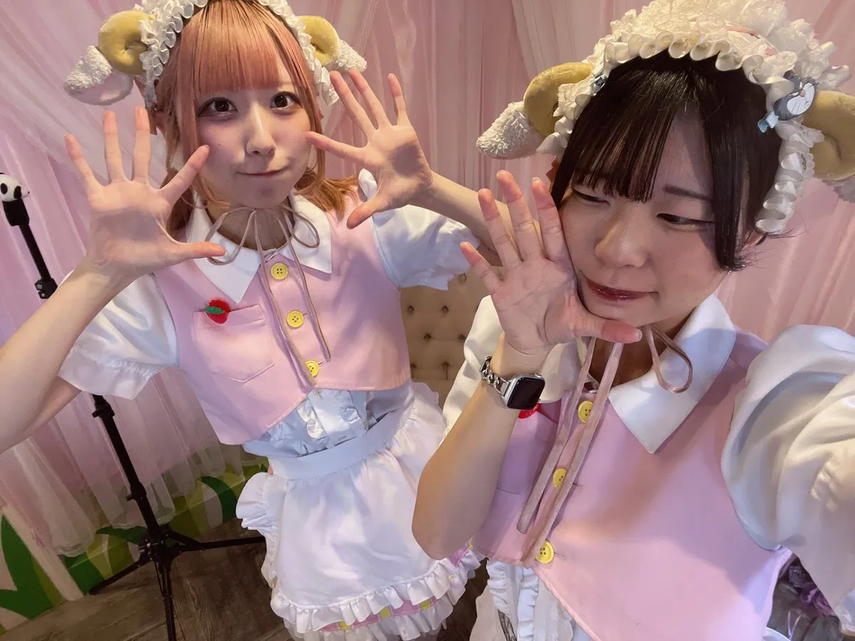 秋葉原 メイドカフェ 🐏フラペコ -frapeco-🍓@frapeco_akiba