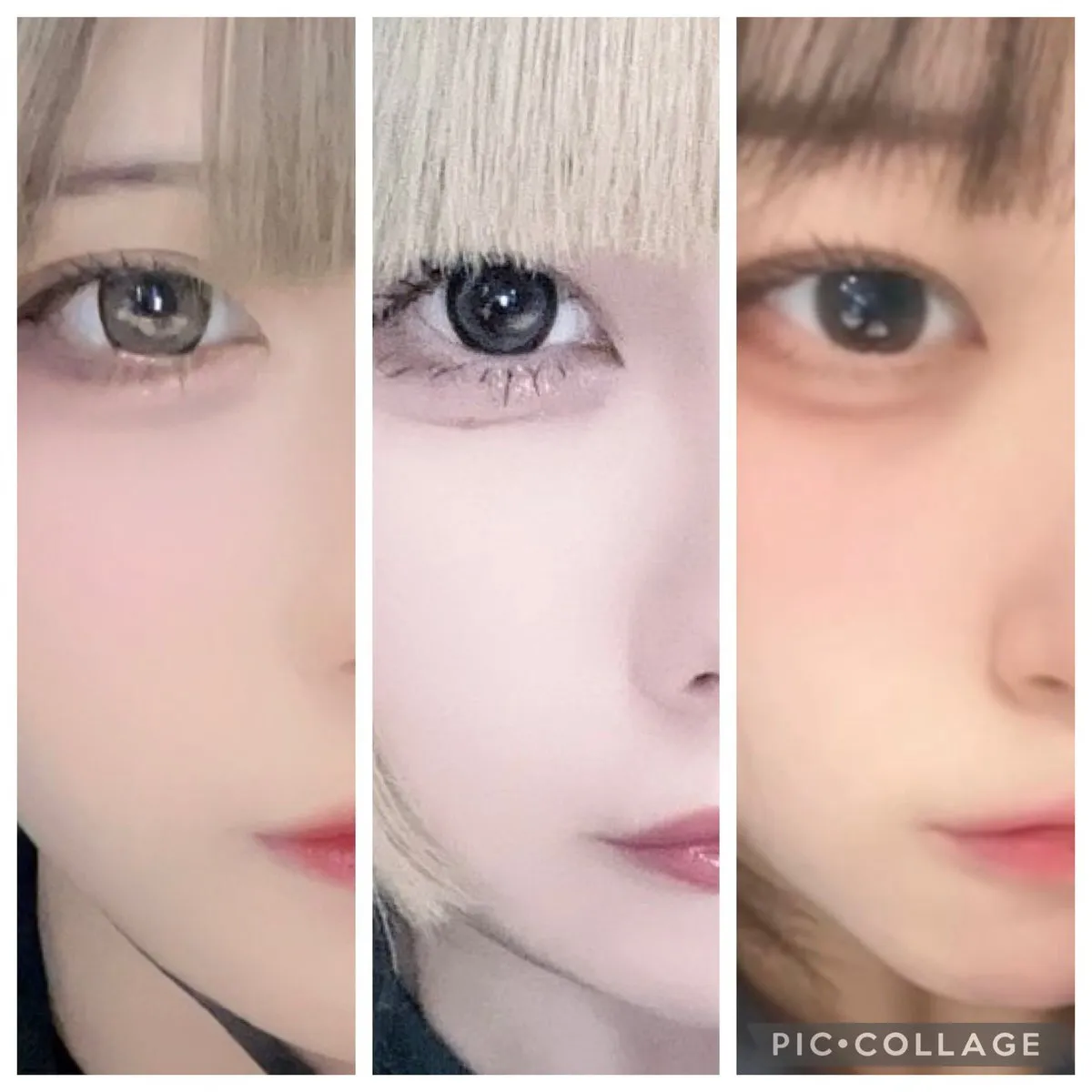 【公式】MaidCafe&barオリス《あんどおるぐるーぷ》@Orris_gion