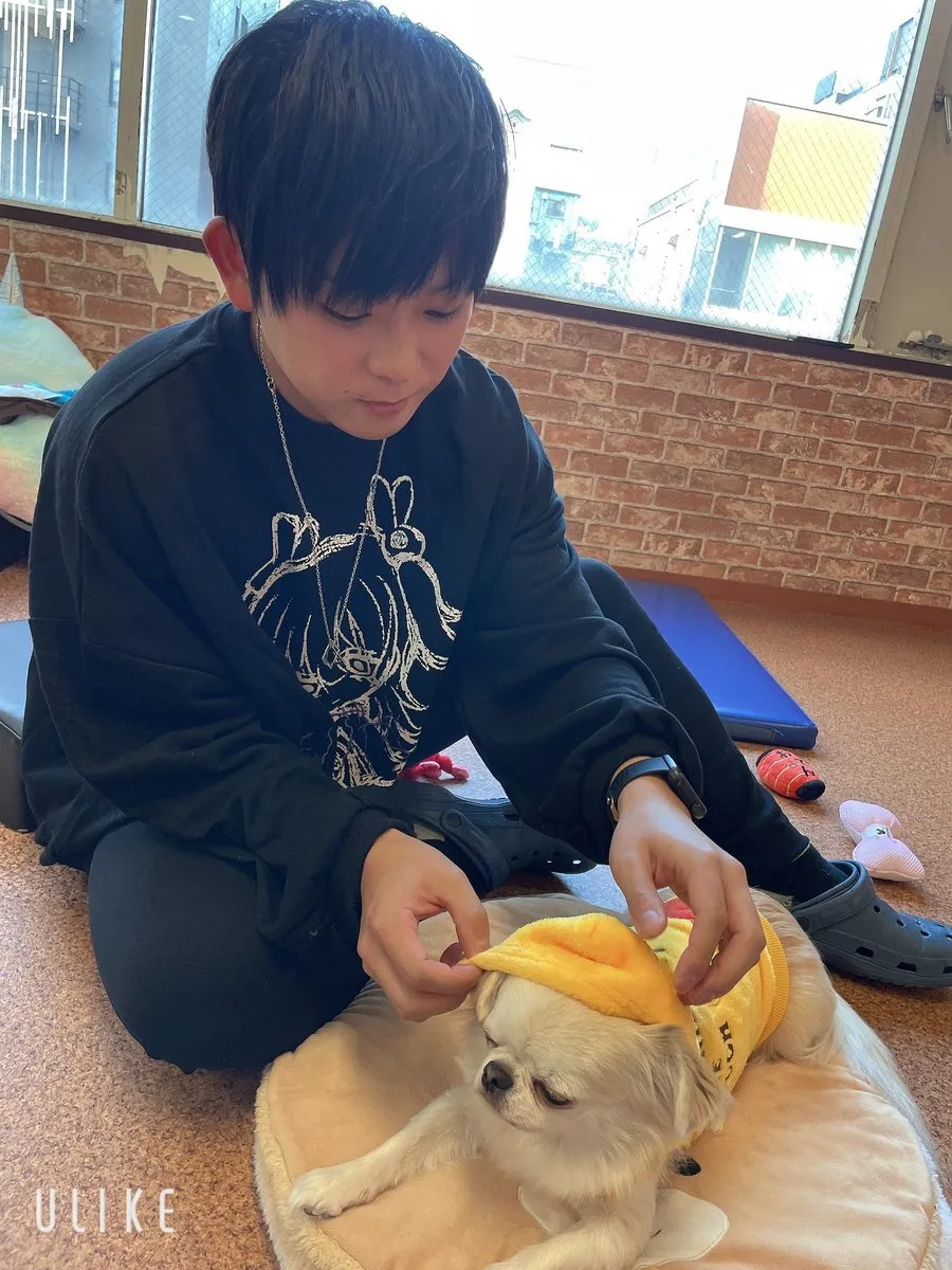 y😷@nogikeya761