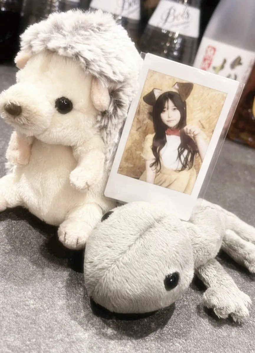 AREA2.5D CUTOPIA@MACHIDA_CUTOPIA