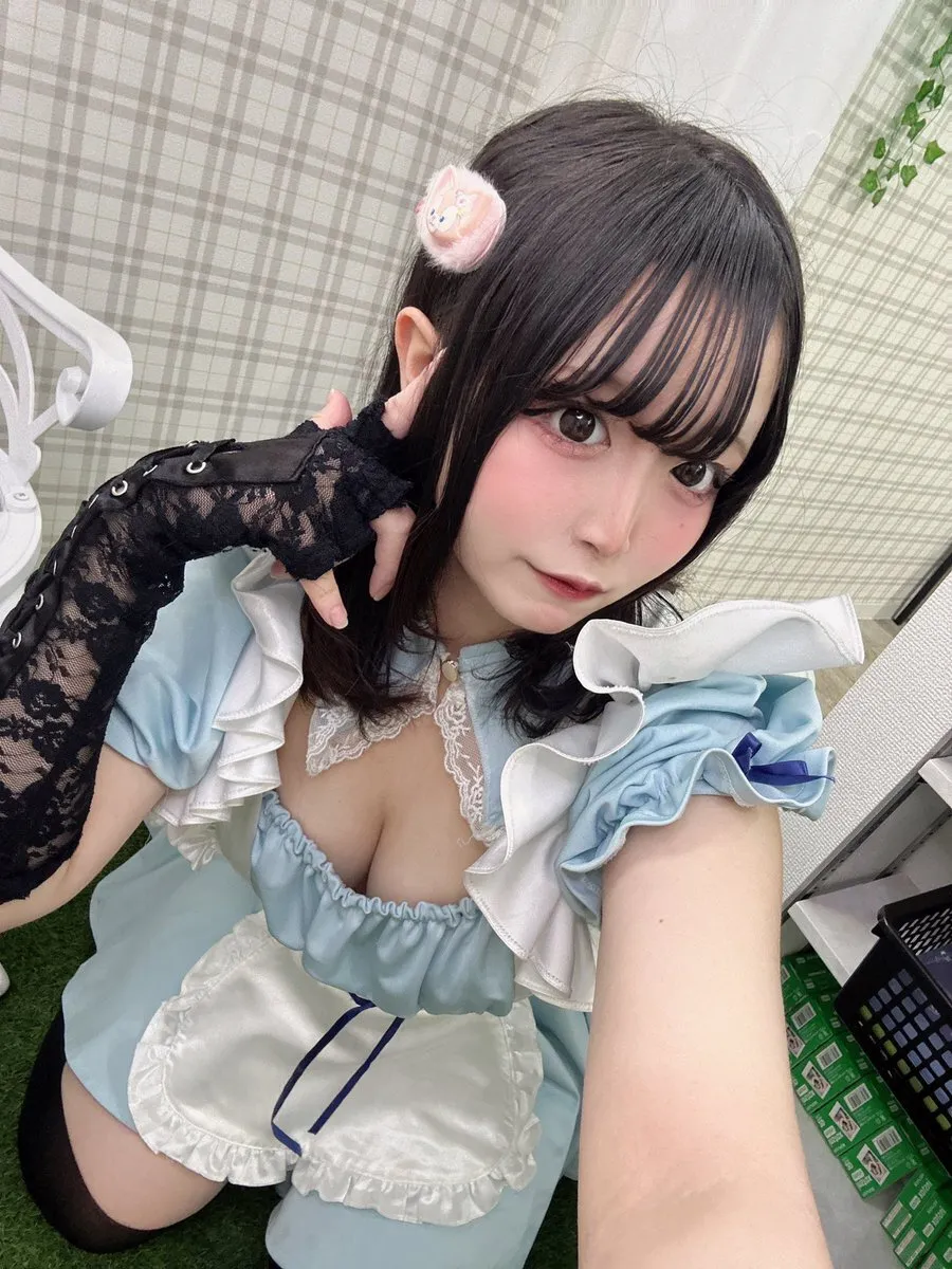 ぬこち。MAIDenPINK@NukochiMeP