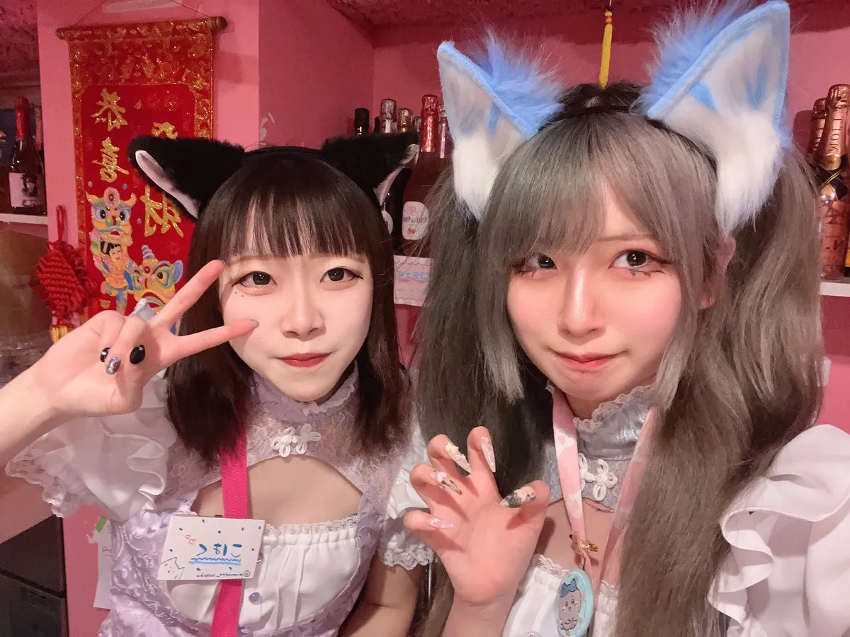 桃猫堂秋葉原店🐾コンカフェ最大手✴️@momonekodou002