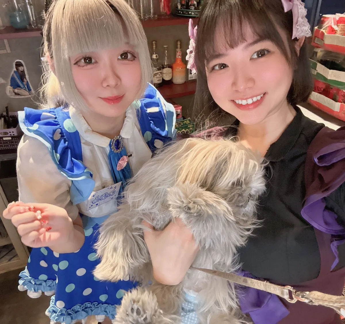 🎀あいまいみーまいん🎀@imymemine_2020