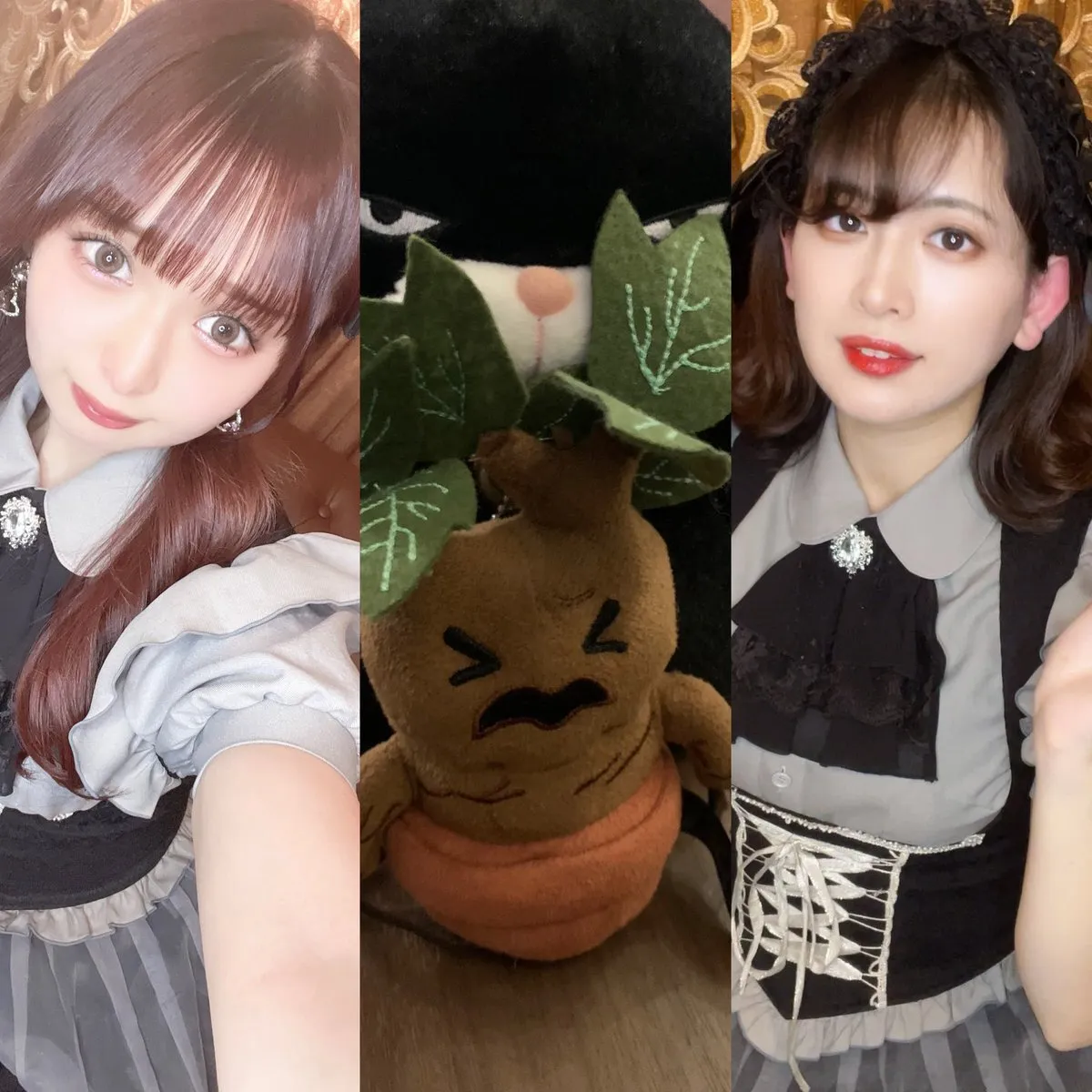 Cafe&Bar GRIMORU グリモル@GRIMORU_CafeBar