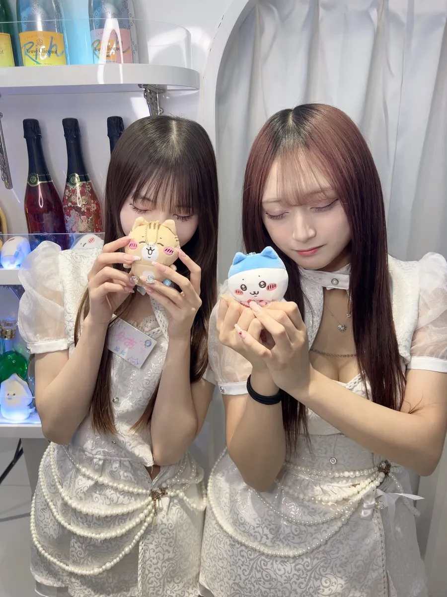 あきゅろす。🤍秋葉原コンカフェ@akyurosu_akb