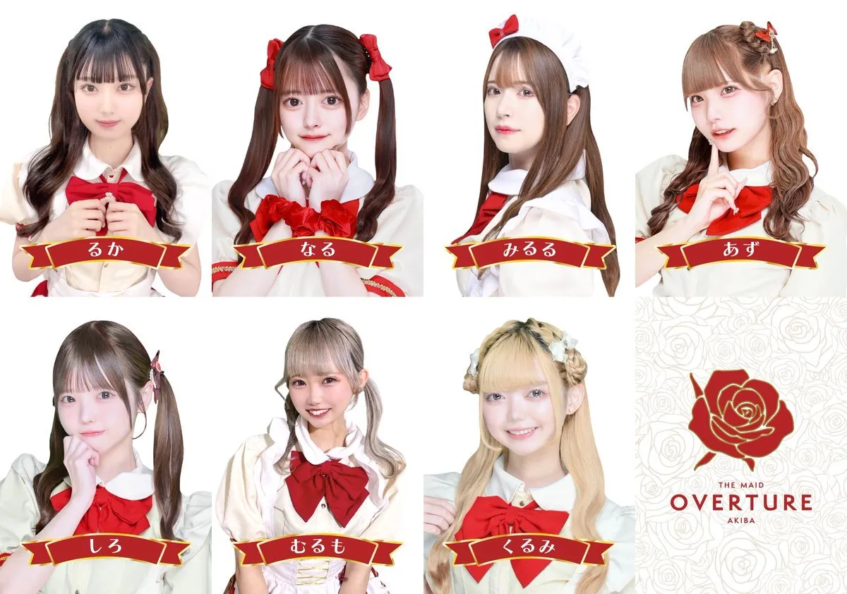 OVERTURE(オーバーチュアー)🥀秋葉原コンカフェ@overture_akiba