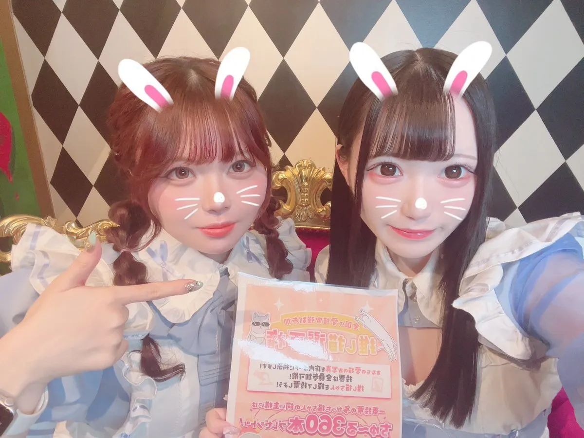 Alice × Alice アリス×アリス 秋葉原コンカフェ@AlicexAlice_Tea