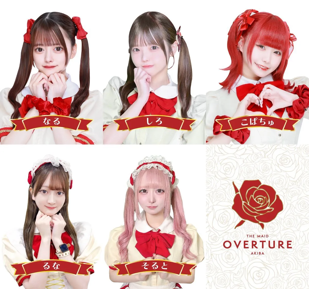 OVERTURE(オーバーチュアー)🥀秋葉原コンカフェ@overture_akiba