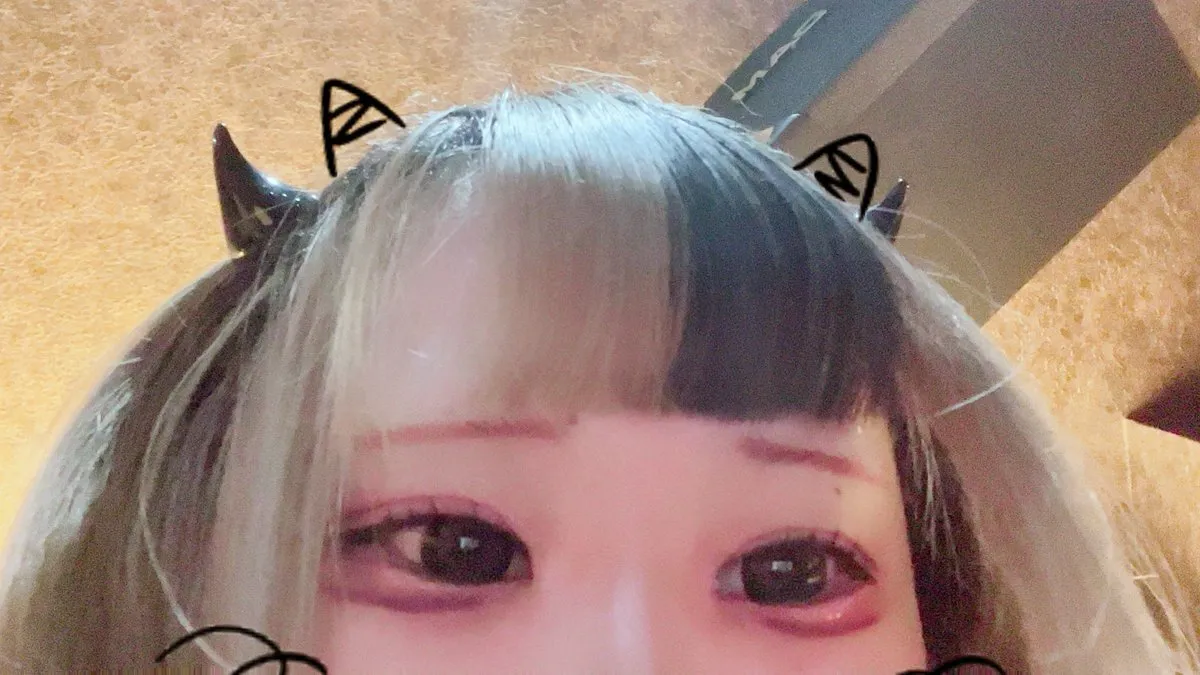 めあにゃんこ@ccbi_mea