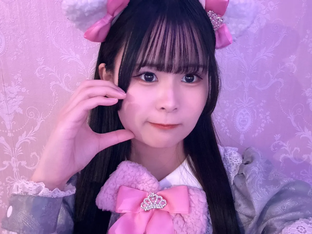 にこ@MaineCoon@nico_MaineCoon