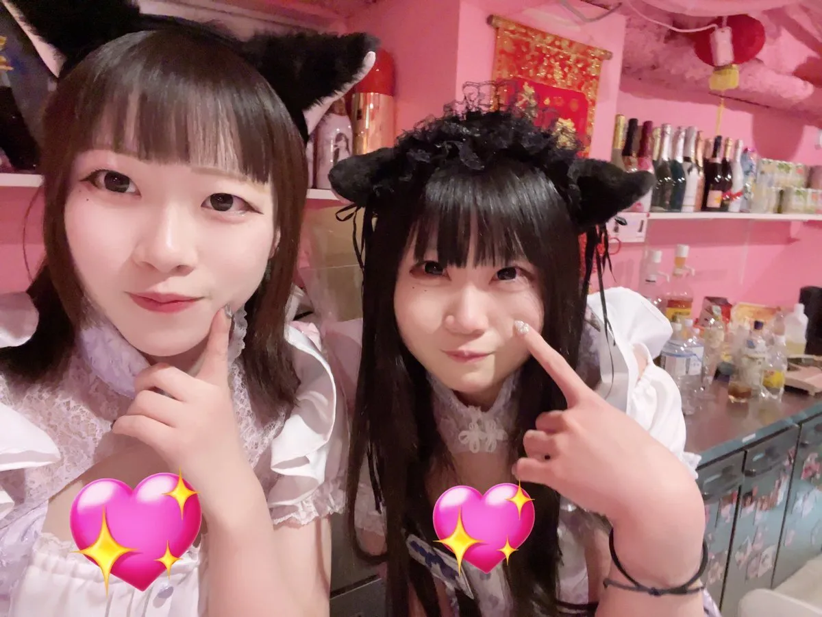 桃猫堂秋葉原店🐾コンカフェ最大手✴️@momonekodou002