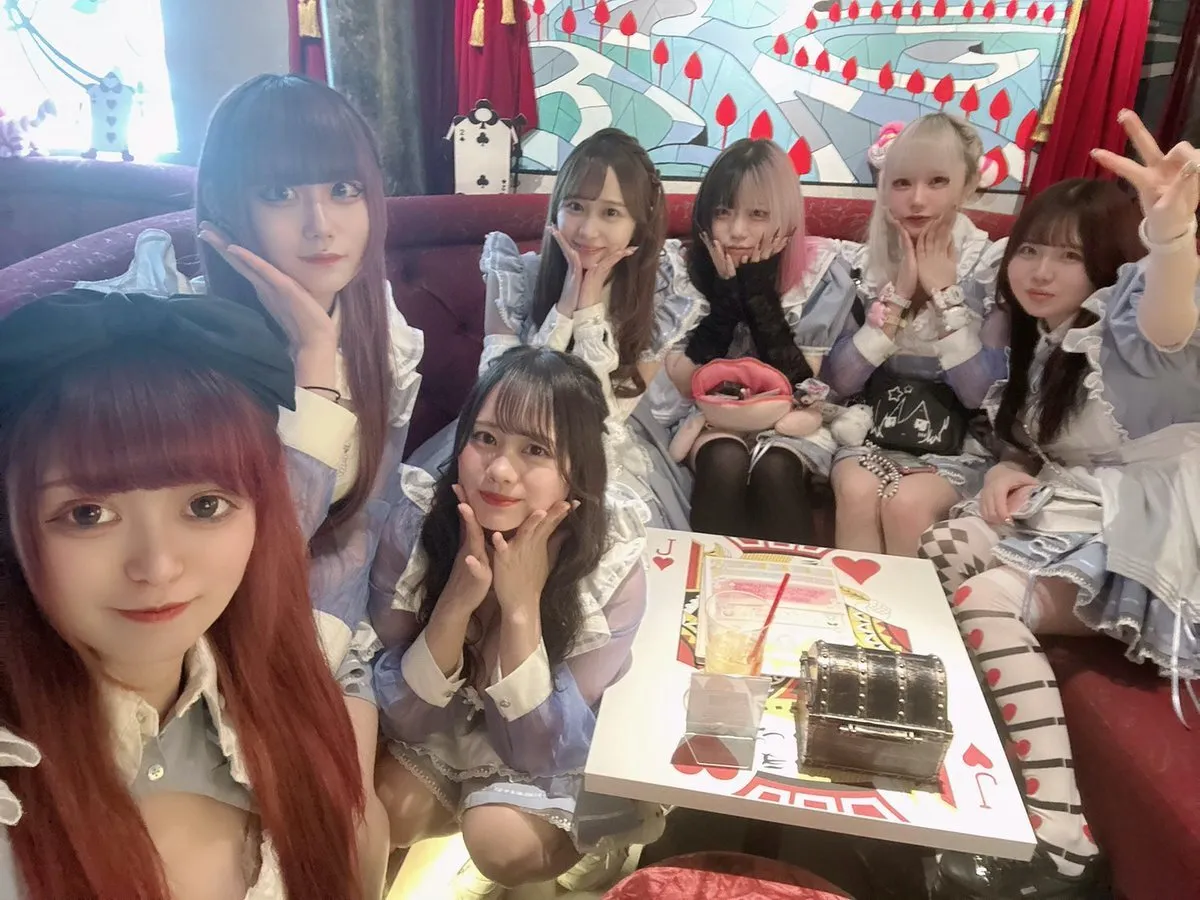 Alice × Alice アリス×アリス 秋葉原コンカフェ@AlicexAlice_Tea