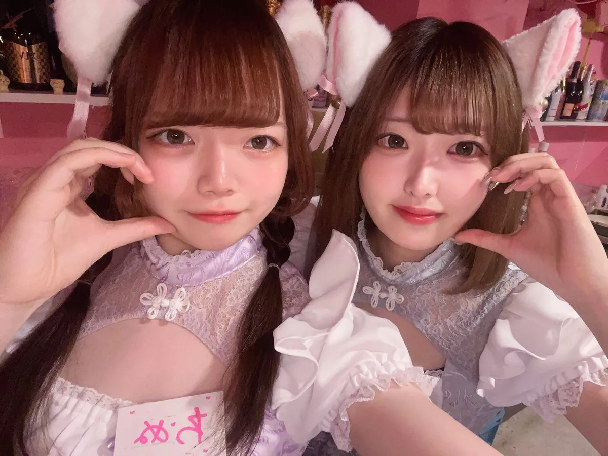 桃猫堂秋葉原店🐾コンカフェ最大手✴️@momonekodou002