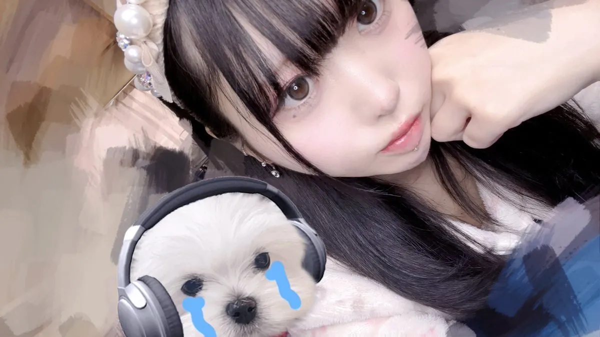 茉 白@mimiten_