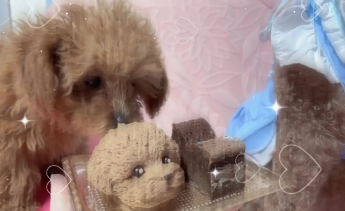 逃げ水ゆも@ユメヲカケル！@0monya_