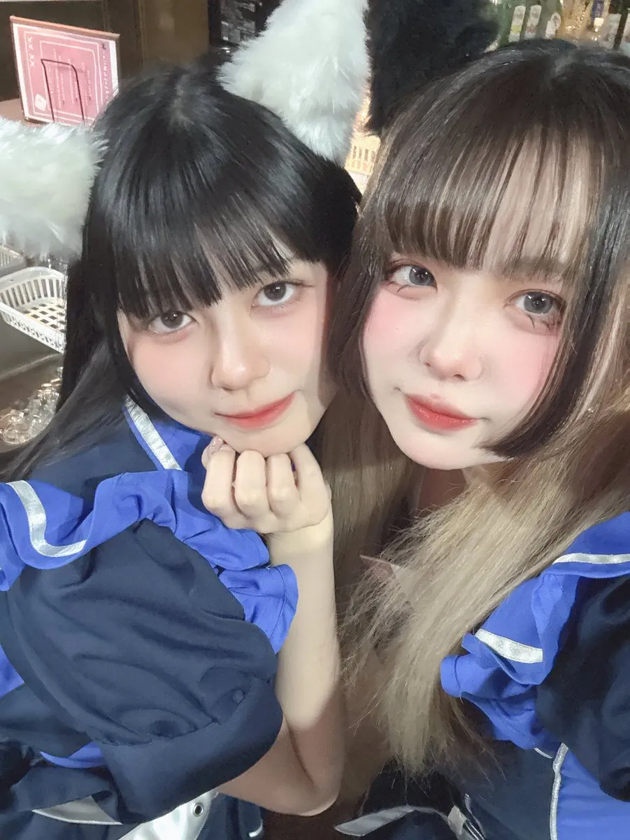 チャイニャコンカフェ桃猫堂恵比寿店 🐱コンカフェ最大手✨@momonekodou004