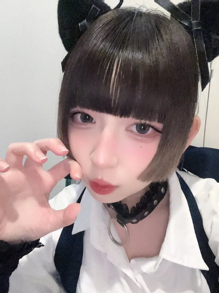 ぽむ@みけねこカフェ池袋@pomumikecat