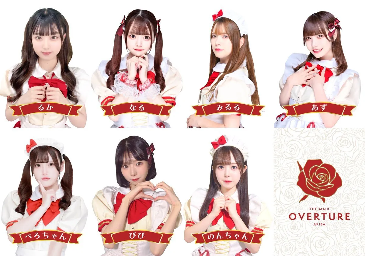 OVERTURE(オーバーチュアー)🥀秋葉原コンカフェ@overture_akiba