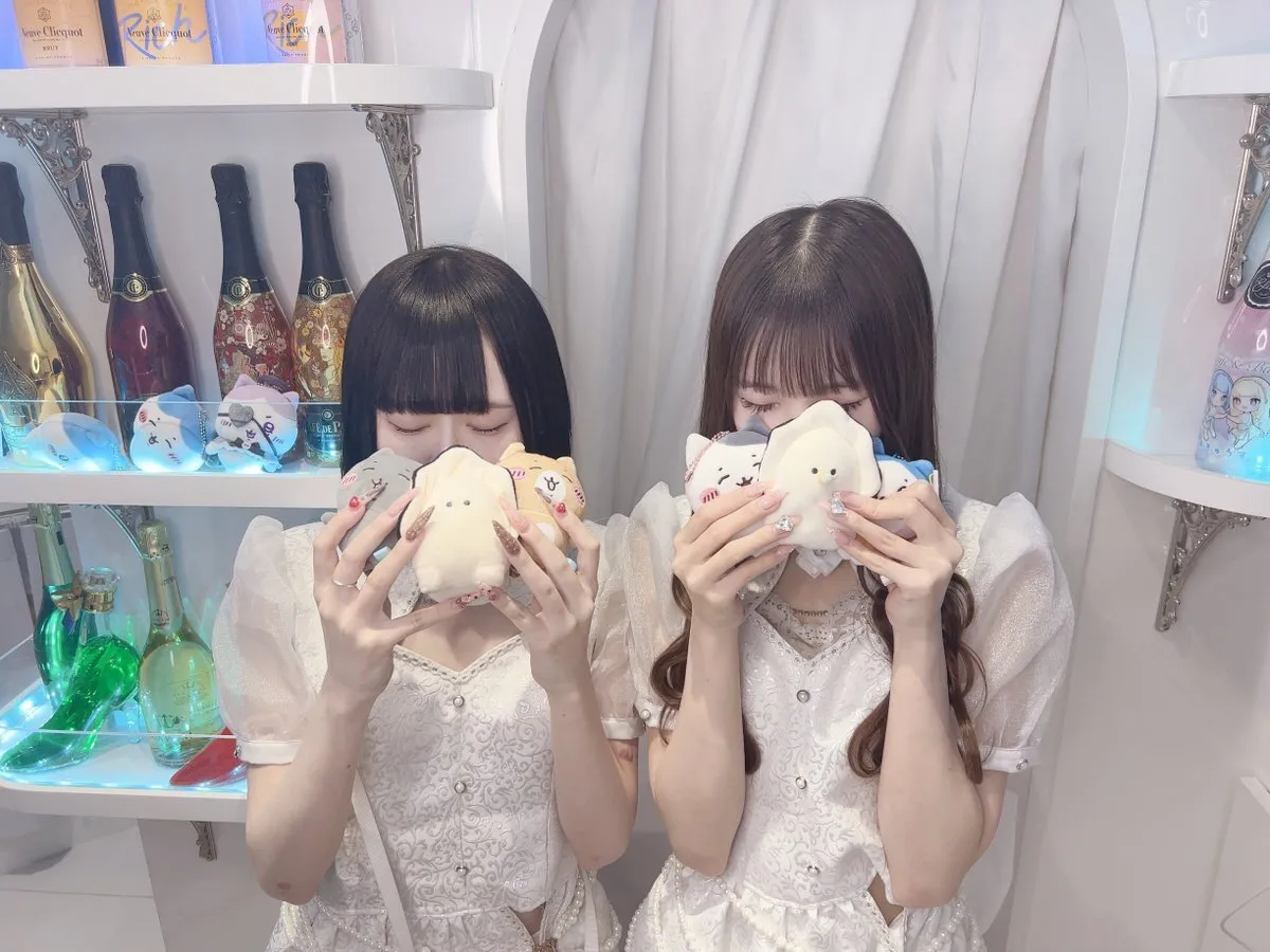 あきゅろす。🤍秋葉原コンカフェ@akyurosu_akb