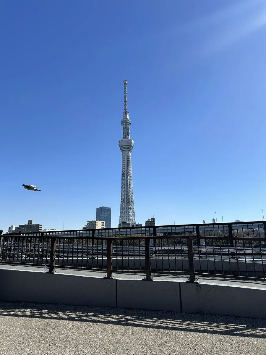 るな@小岩 Cafe&Bar Nya&Co.@Nyanco_runa