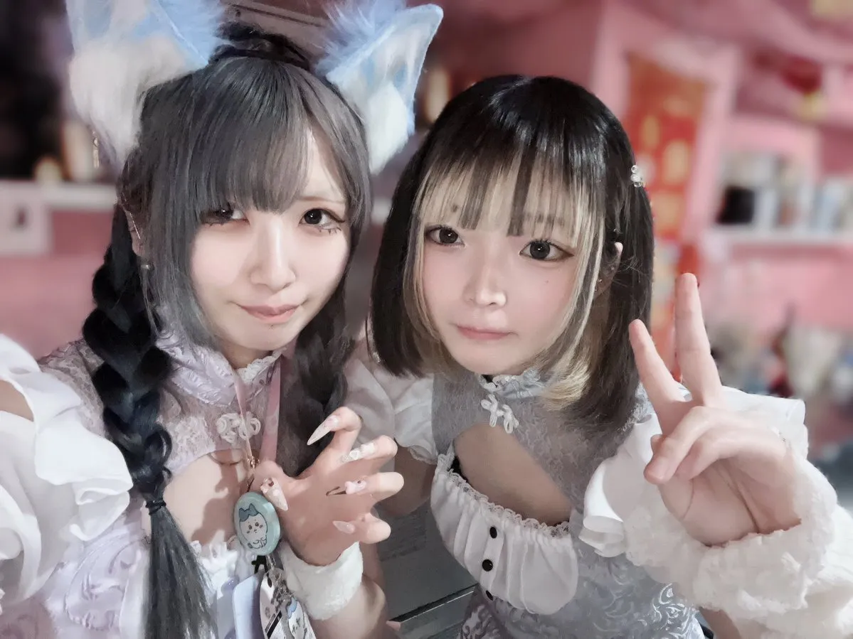 桃猫堂秋葉原店🐾コンカフェ最大手✴️@momonekodou002