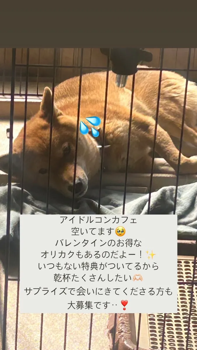 四ノ宮 澪@4/7豊洲PIT@1reichemu