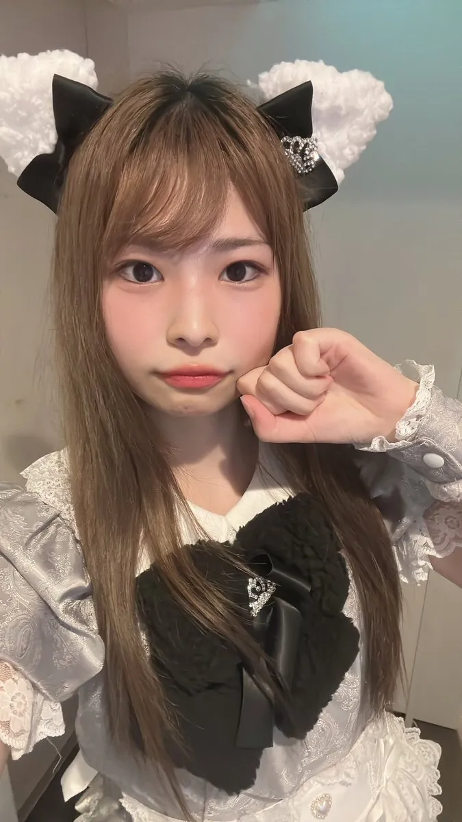 MaineCoon『メインクーン』秋葉原コンカフェ@MaineCoon_nyao_