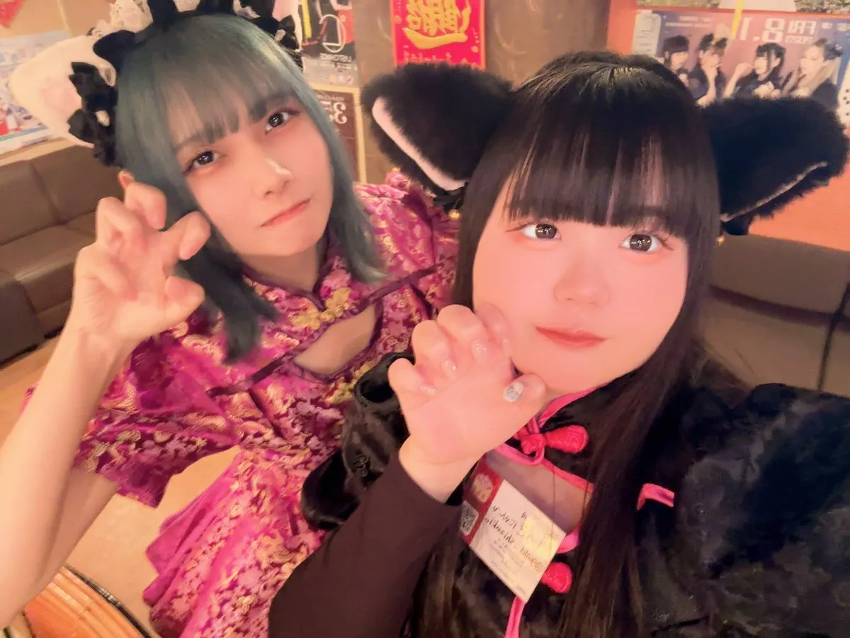 桃猫堂横浜店🐱コンカフェ最大手@momoneko_ykhm