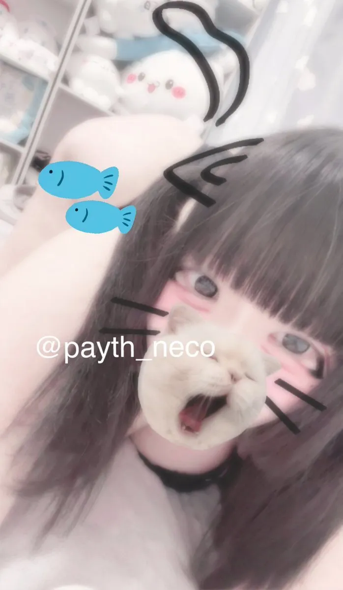 のあにゃん☨❤ @Payth所属【1期生】@Payth_neco