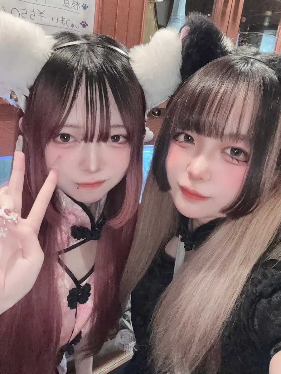 チャイニャコンカフェ桃猫堂 新宿歌舞伎町@コンカフェ最大手@momonekodou001