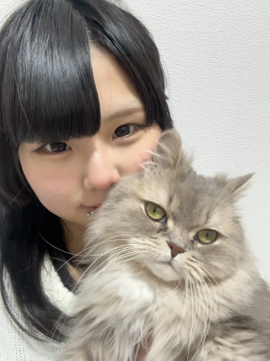 らまち@ramati_reizidou