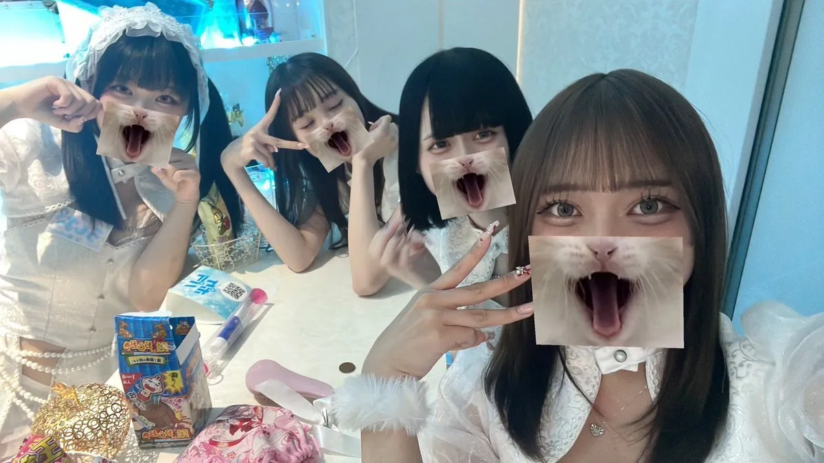 あきゅろす。🤍秋葉原コンカフェ@akyurosu_akb