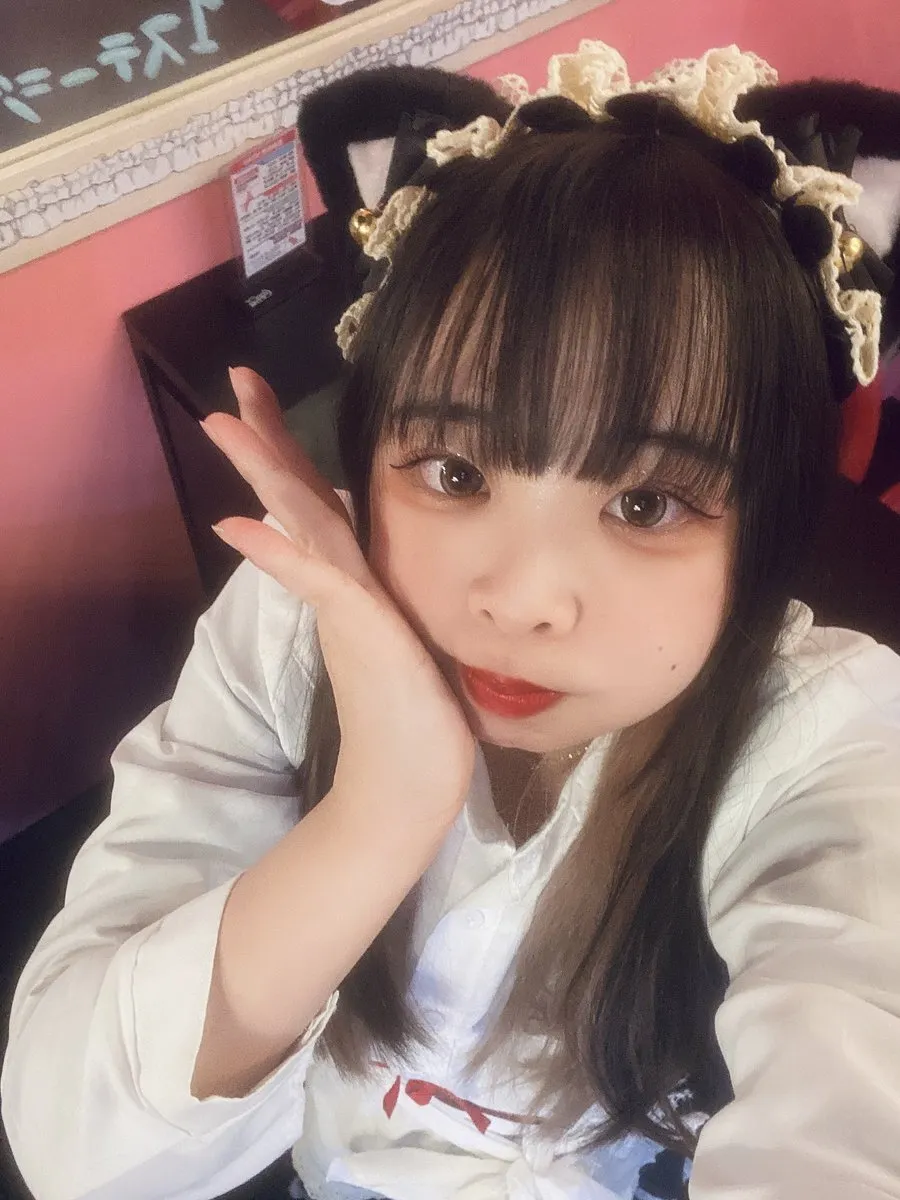 めい@みけねこカフェ秋葉原@meimikecat