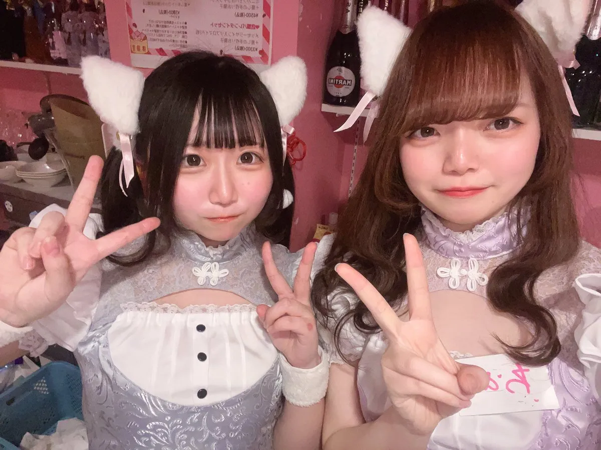 桃猫堂秋葉原店🐾コンカフェ最大手✴️@momonekodou002