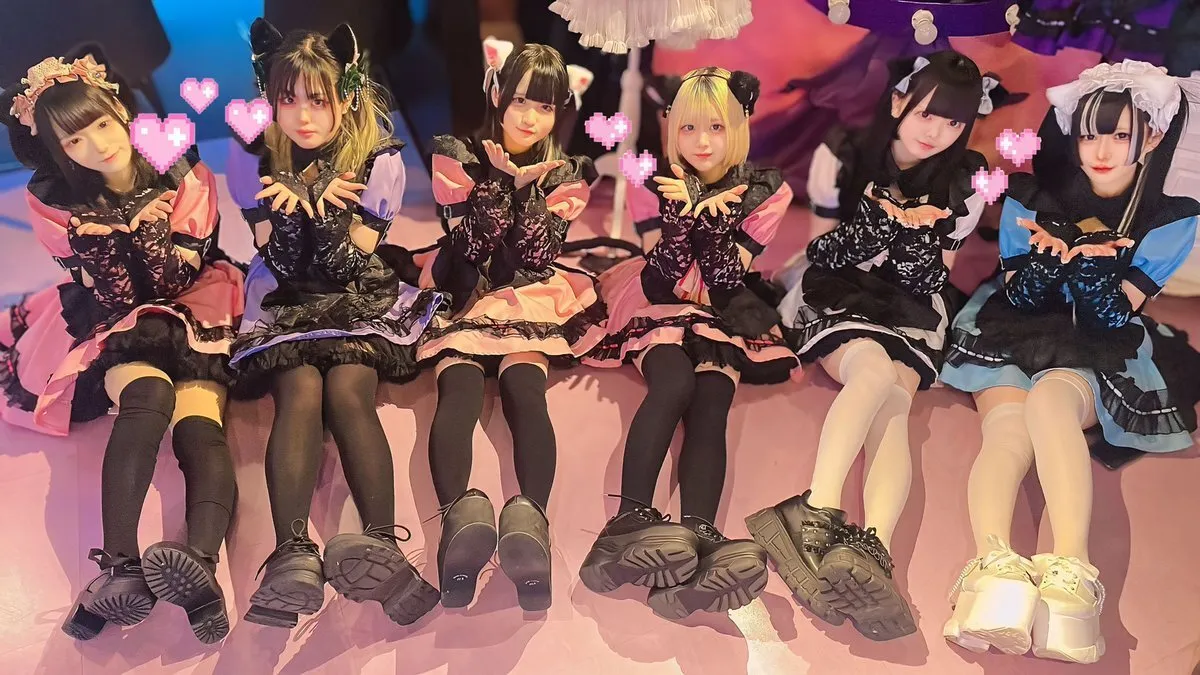 仙台にゃんこメイドバー💜Nyanpontan@bar_nyanpontan