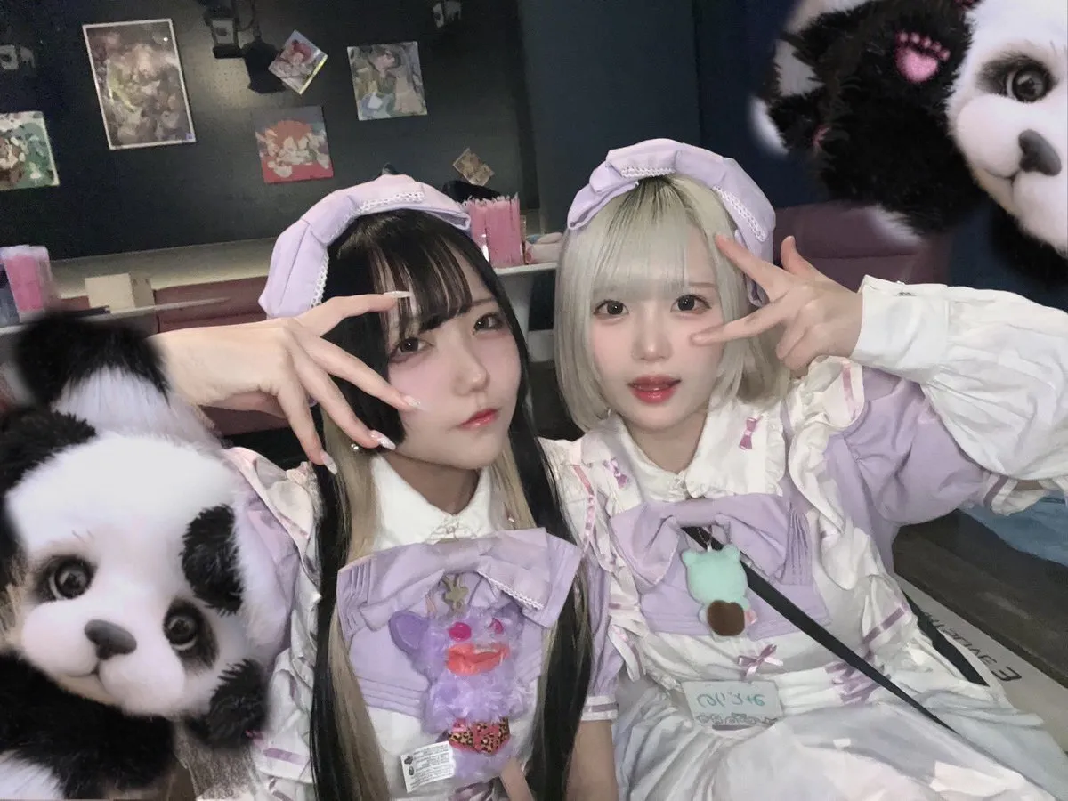 TeALICe (てぃありす)🫖秋葉原 コンカフェ@TeALICe_cafe