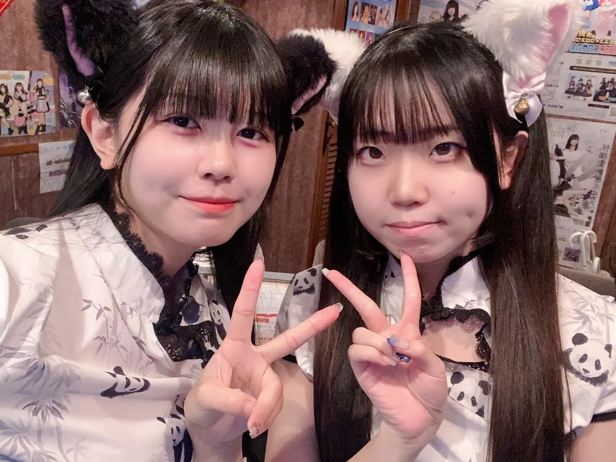 チャイニャコンカフェ桃猫堂 新宿歌舞伎町@コンカフェ最大手@momonekodou001