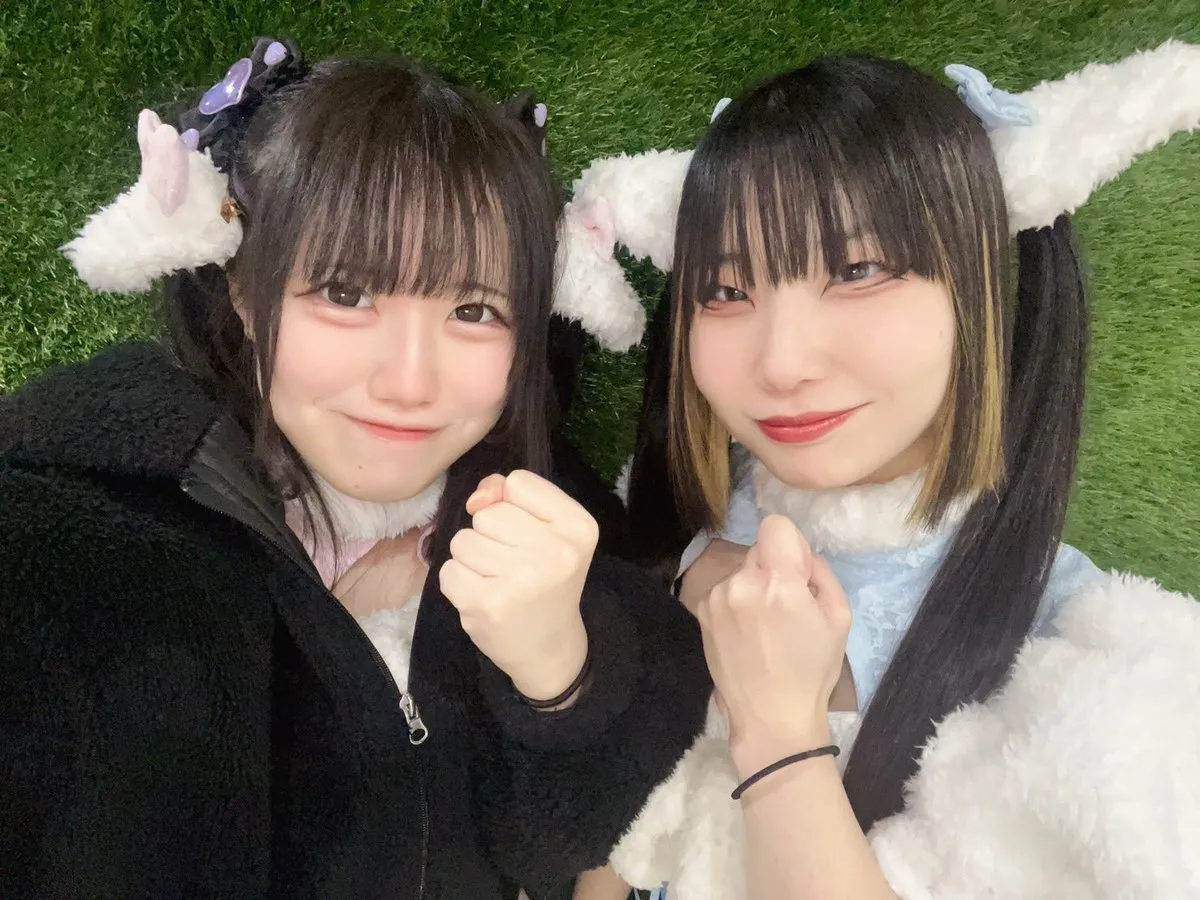 荻窪コンカフェ ひつじ屋さん🐏🌳@Meleap_2024