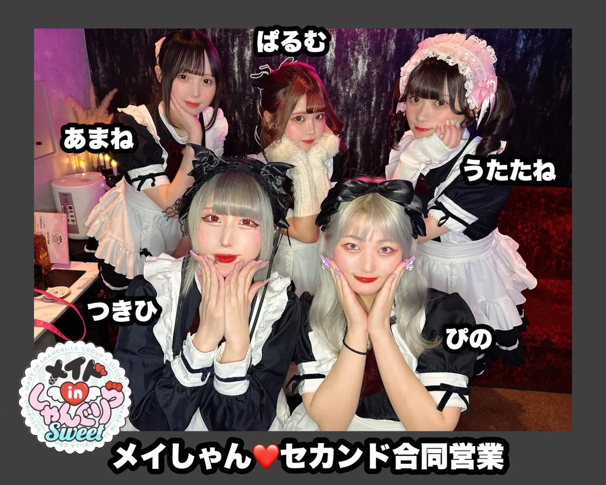 キャスト募集 メイドinしゃんぐりら 札幌すすきのコンカフェ@madeinshangrila