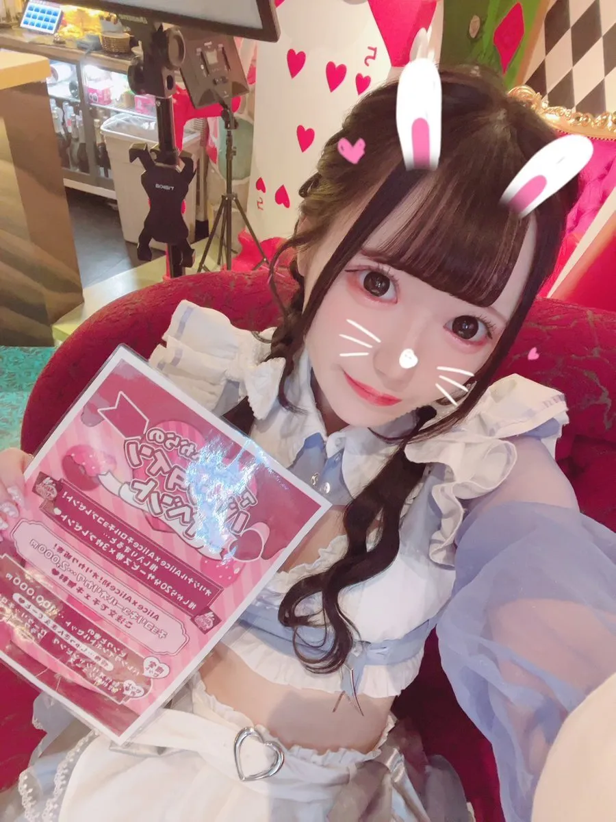 Alice × Alice アリス×アリス 秋葉原コンカフェ@AlicexAlice_Tea