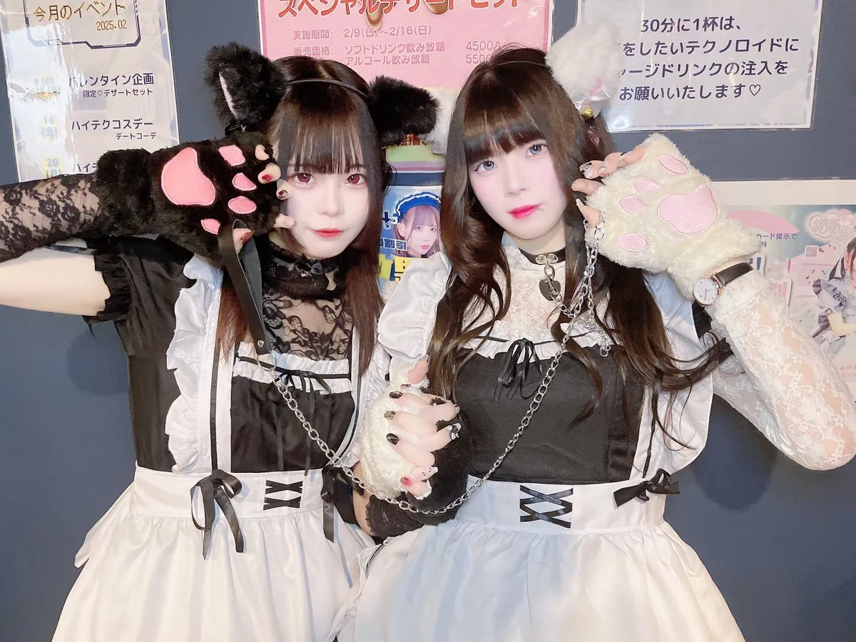 大阪日本橋メイドカフェ🌐MAIDTECH+@maidtech2024