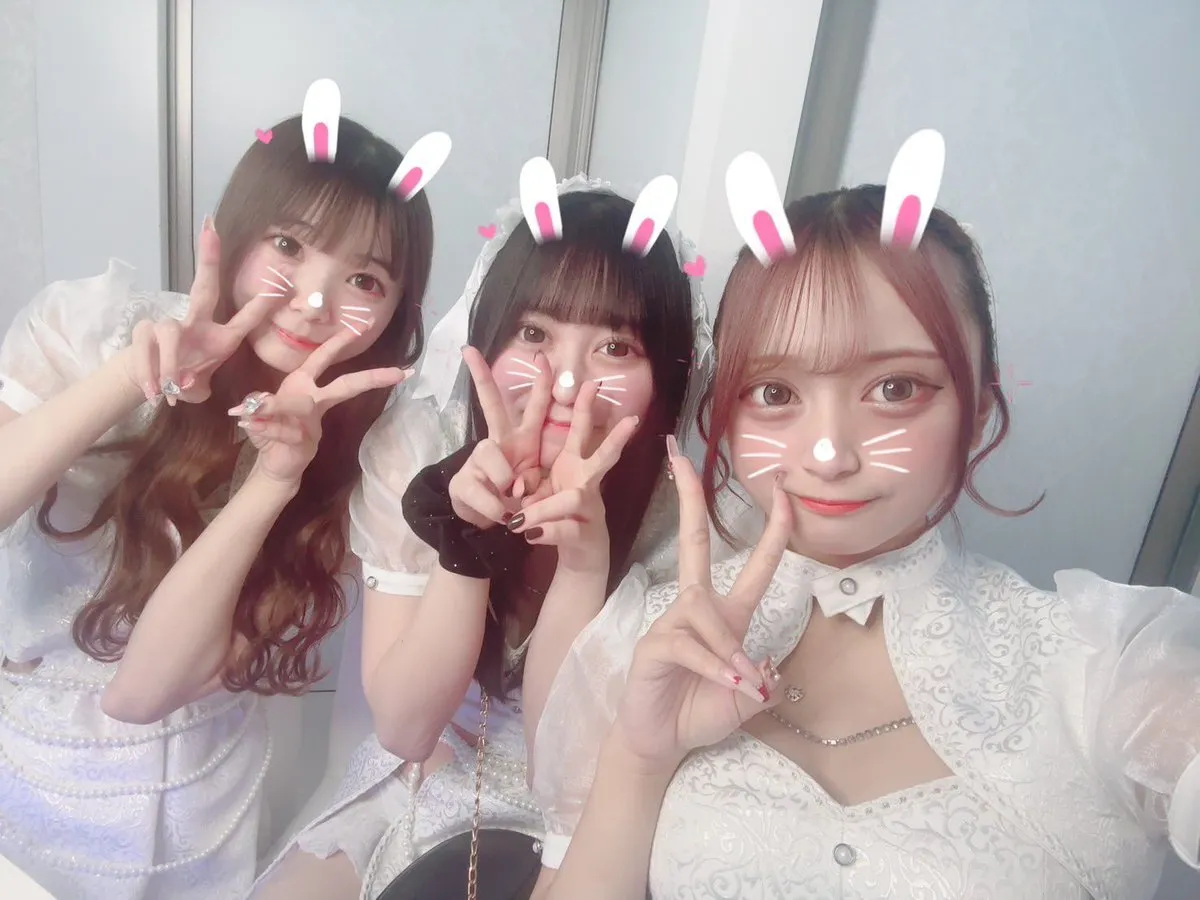 あきゅろす。🤍秋葉原コンカフェ@akyurosu_akb