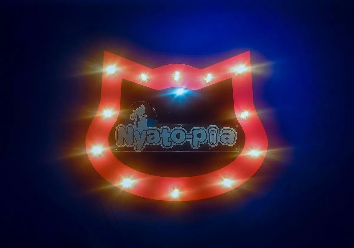 ふぁんしーなひと@fancy_0109