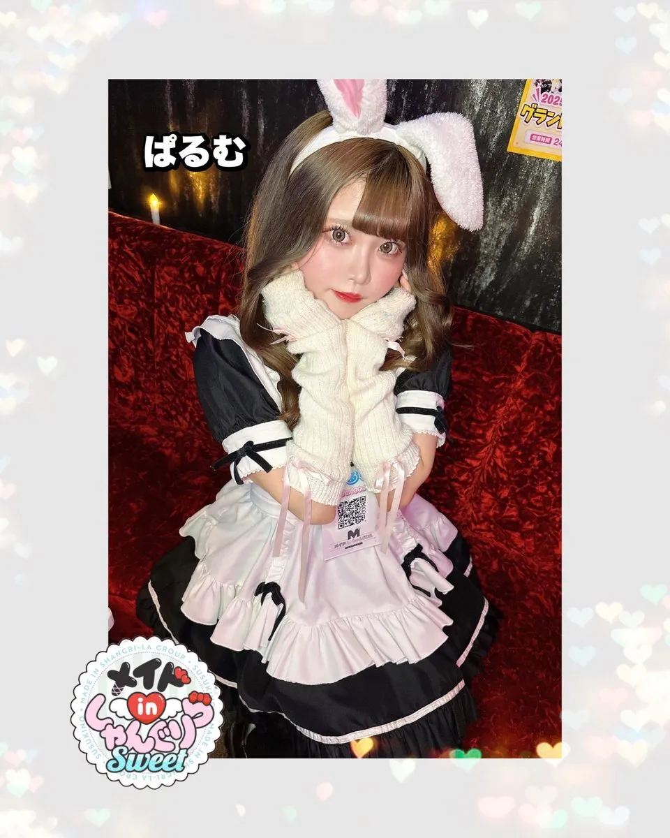 キャスト募集 メイドinしゃんぐりら 札幌すすきのコンカフェ@madeinshangrila