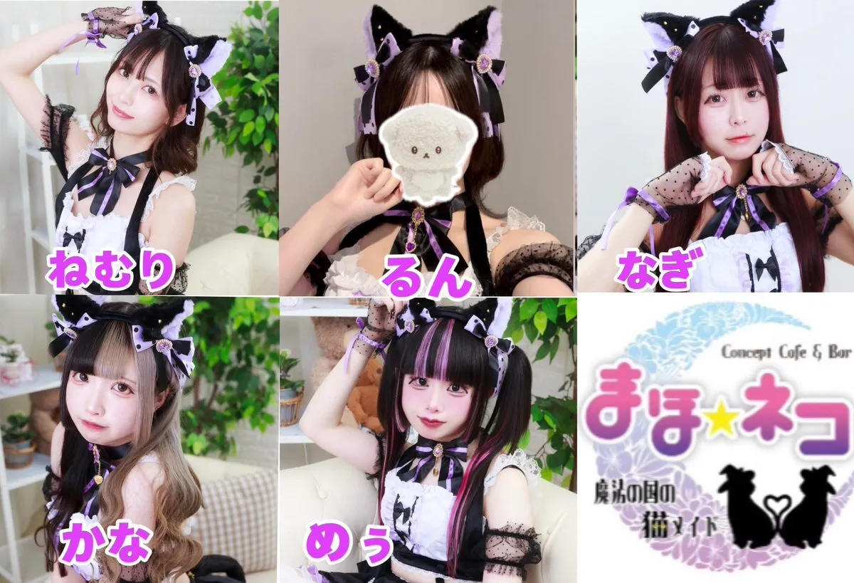 【キャスト募集中】まほネコ🐈‍⬛魔法の国の猫メイド【コンカフェ】@mahoneko_cafe