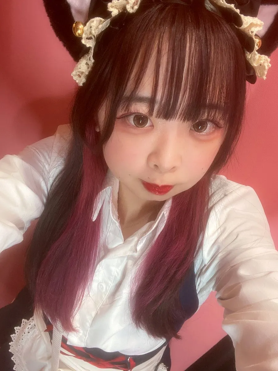 めい@みけねこカフェ秋葉原@meimikecat