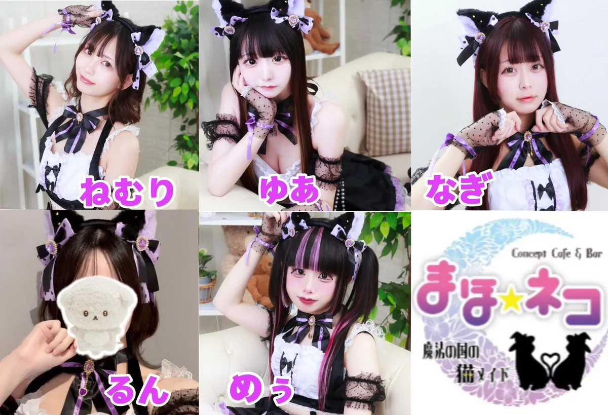 【キャスト募集中】まほネコ🐈‍⬛魔法の国の猫メイド【コンカフェ】@mahoneko_cafe