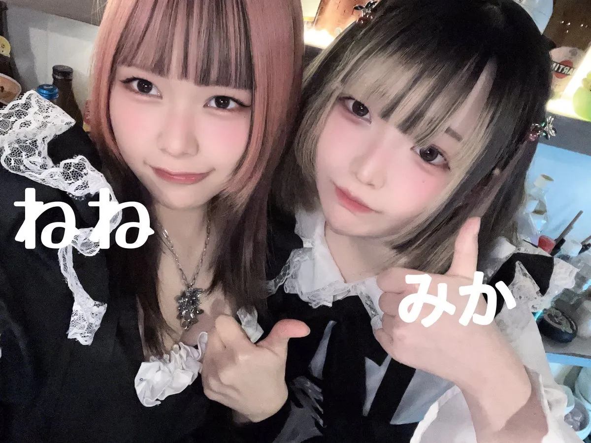 アニソンバーもふる秋葉原 ✨コンカフェ最大手✨@mofru_akiba